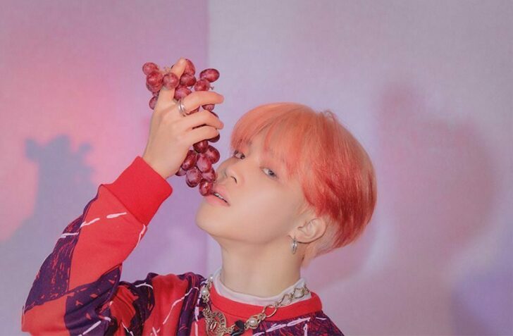 BTS Jimin Profile, Facts, and TMI