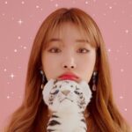 k-pop idols