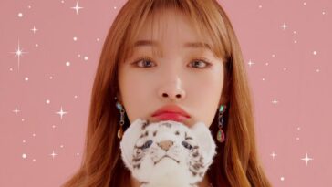k-pop idols