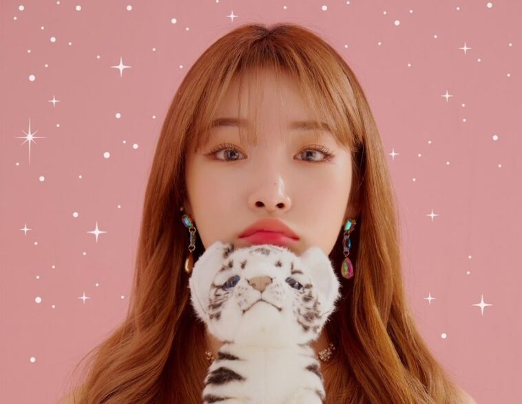 k-pop idols