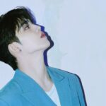 seventeen s.coups profile facts tmi