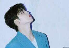 seventeen s.coups profile facts tmi