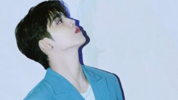 seventeen s.coups profile facts tmi