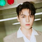 seventeen vernon profile facts tmi mbti