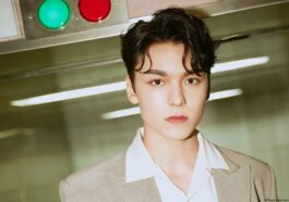 seventeen vernon profile facts tmi mbti