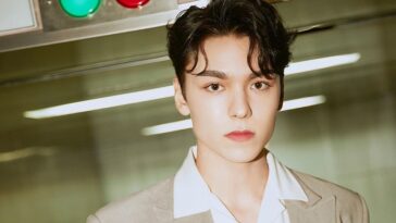 seventeen vernon profile facts tmi mbti