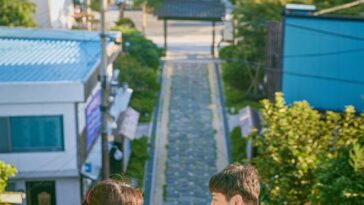 when the camellia blooms kdrama profile