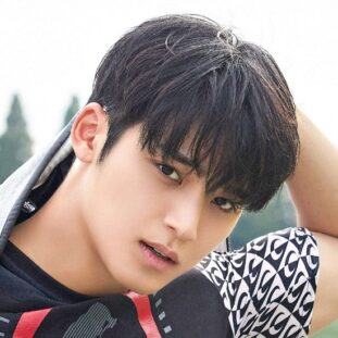 seventeen quiz mingyu