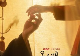 The Red Sleeve poster