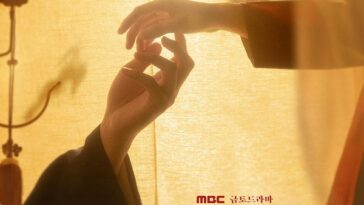 The Red Sleeve poster