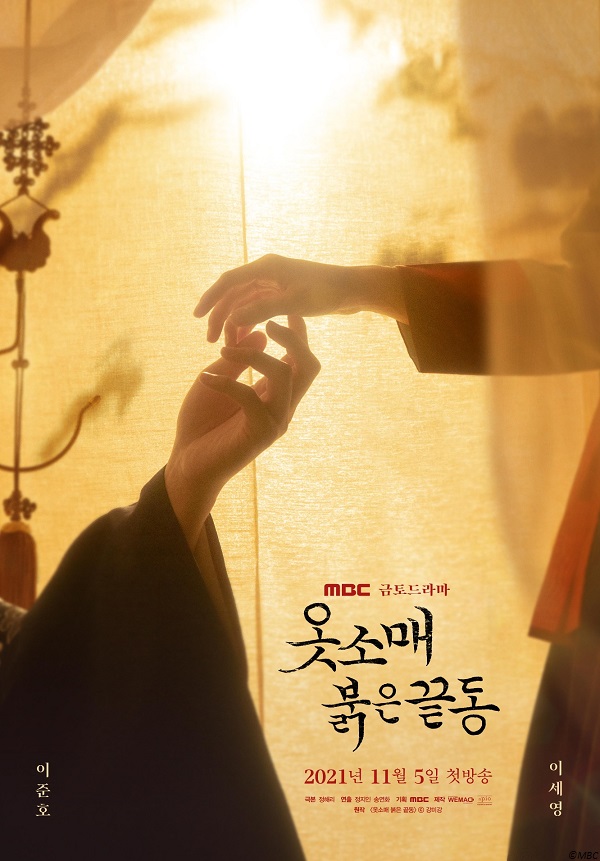 The Red Sleeve poster