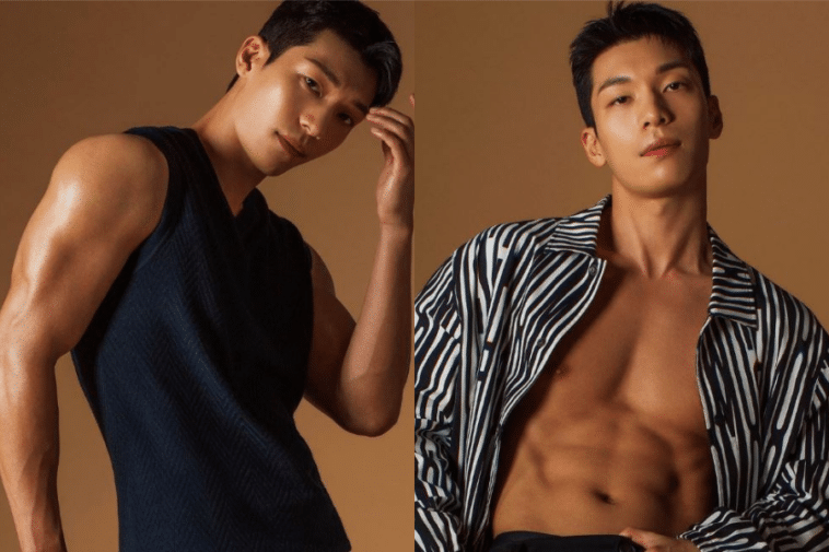 wi ha joon abs profile and facts