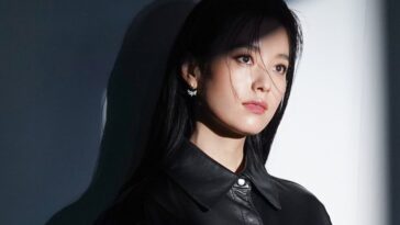 Han Hyo Joo Drama, Profile, Boyfriend