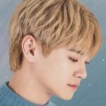 Let Me Be Your Knight Jang Dong Joo