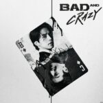 Bad and Crazy Cast Poster Synopsis