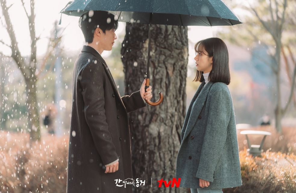 jang ki yong drama my roommate is a gumiho