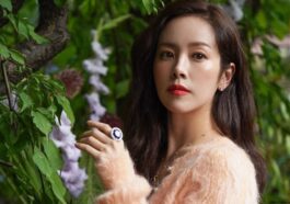 Han Ji Min drama profile facts tmi