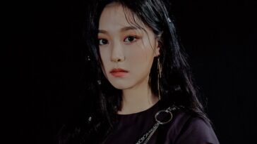 loona member hyunjin profile facts tmi