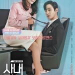 a business proposal drama cast and synopsis