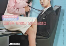 a business proposal drama cast and synopsis