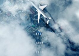 emergency declaration movie cast and synopsis