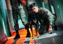 military prosecutor doberman cast synopsis