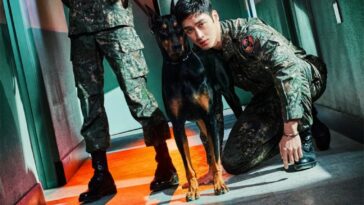 tvn military prosecutor doberman Archives - Kepoper