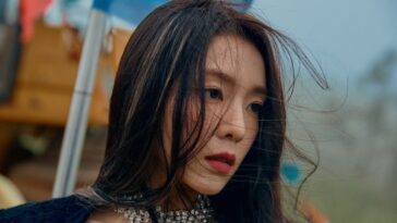 red velvet irene profile facts tmi