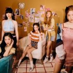 red velvet member profile