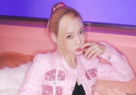 snsd girls generation taeyeon girls on top profile facts tmi