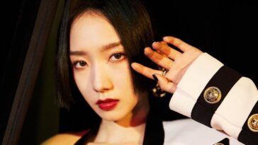 wjsn cosmic girls mei qi profile facts tmi mbti ideal type